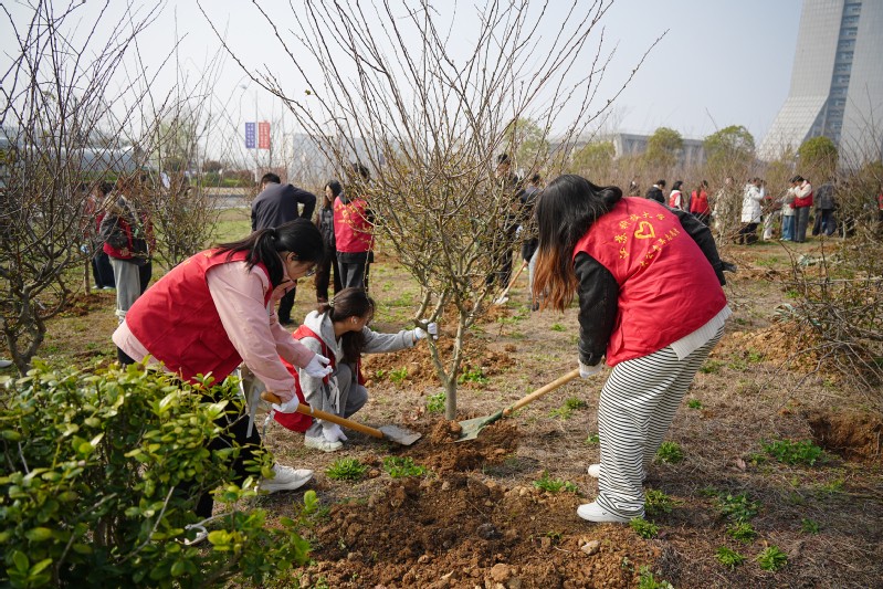 1774488056746417.jpg 植綠湖畔添新景 同心共育向未來(lái) ——我校開(kāi)展春季植樹(shù)活動(dòng)2.jpg
